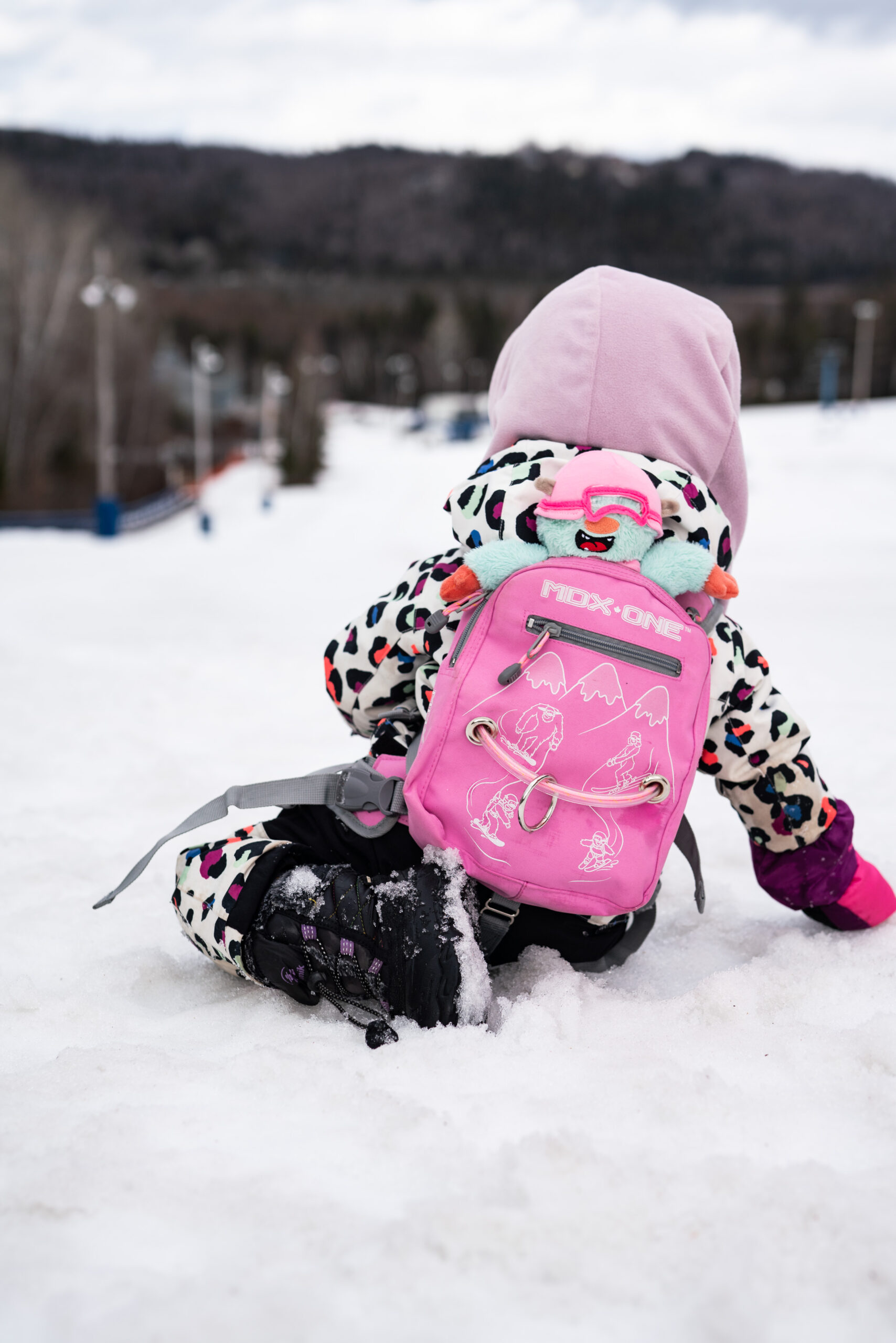 Snowboard Harness