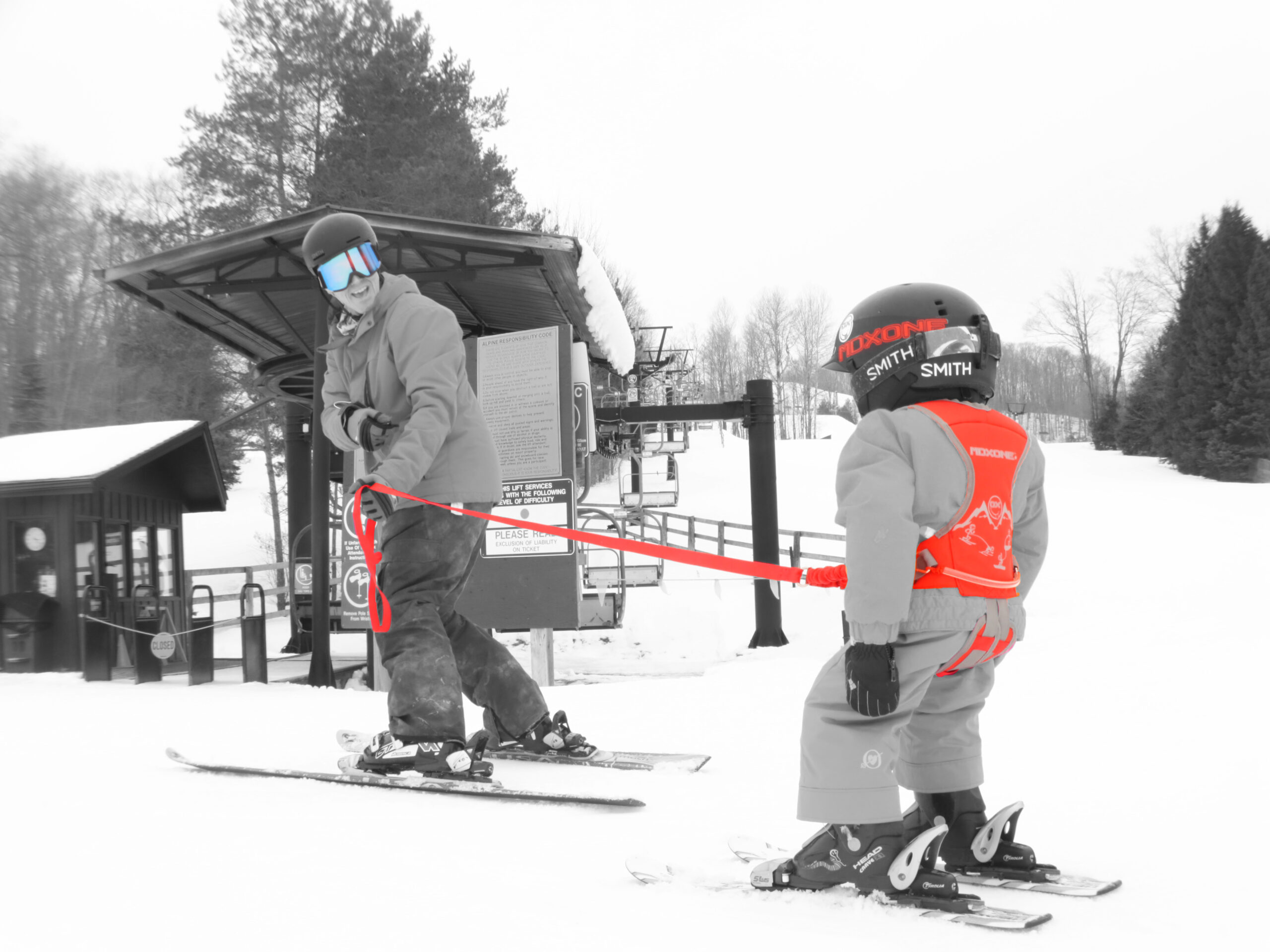 Ski Harness