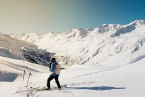 Ski Ties