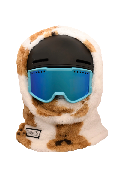 Teddy